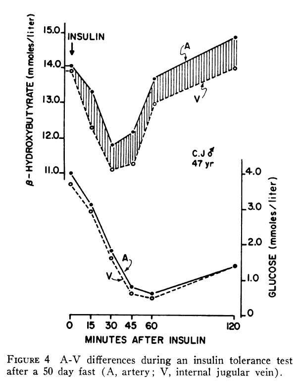 ทานผงชูรส ใน คีโต อาหาร ไม่ได้ทำให้ อินซูลิน เพิ่ม มาก เกิดกว่าปกติ