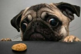 อาหารคีโต