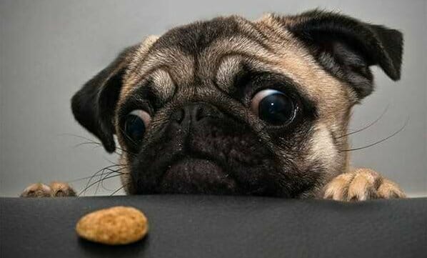 อาหารคีโต