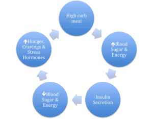 วงจร ระดับน้ำตาลในเลือด หลังจาก ทานอาหาร และผลต่อฮอร์โมน
