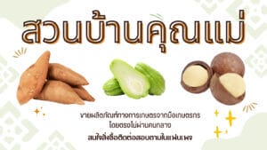 สีสัน มินิมอล ร้านเบเกอรี่ ภาพหน้าปก facebook